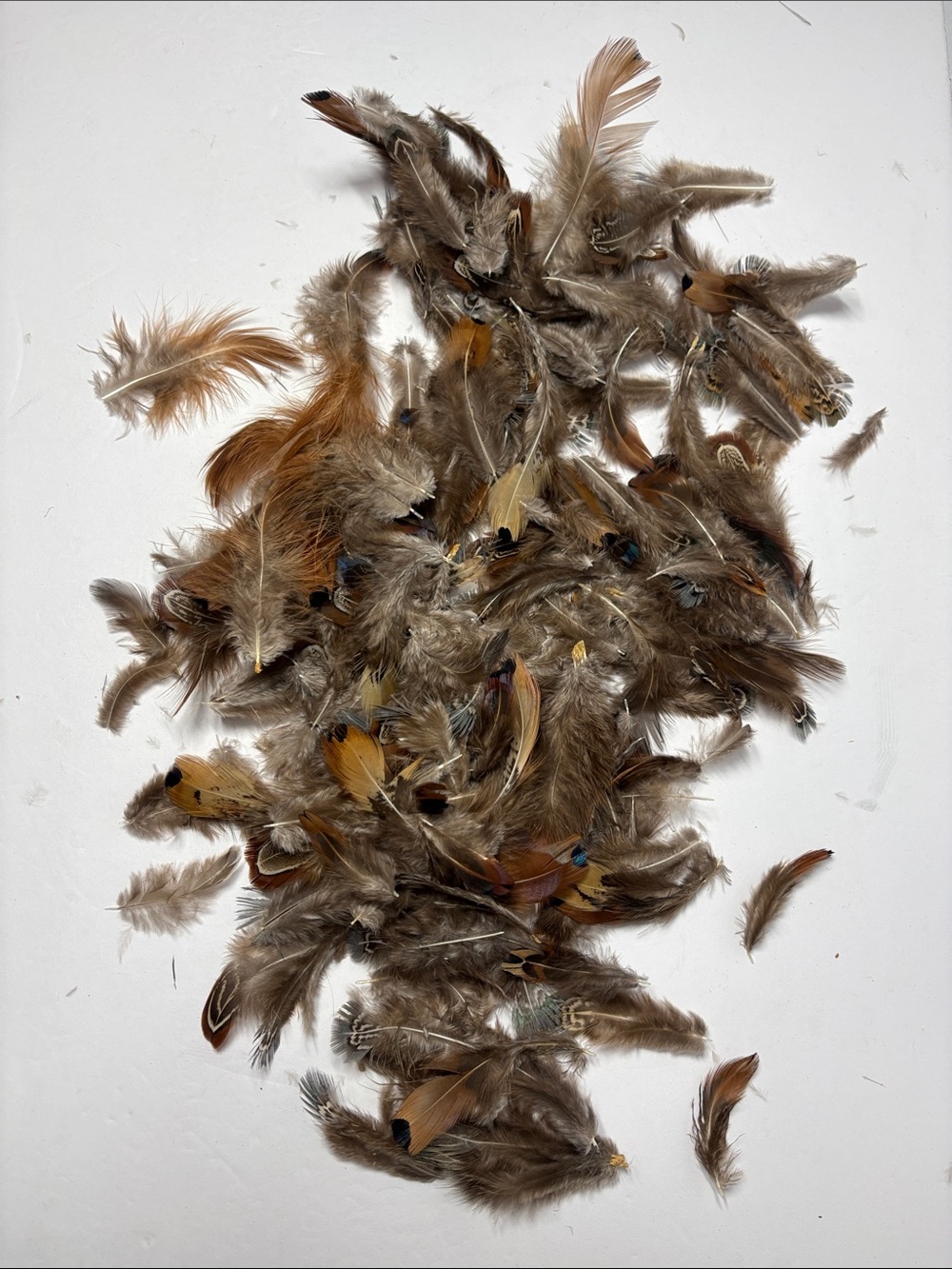 Natural Brown Feather Mix